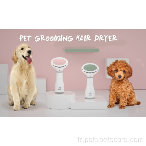 Brosse sèche-cheveux pour chien et chat